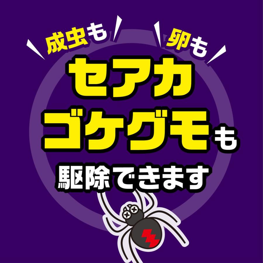アース製薬 クモの巣消滅ジェット 450ml : DIY 自分で出来る害虫駆除