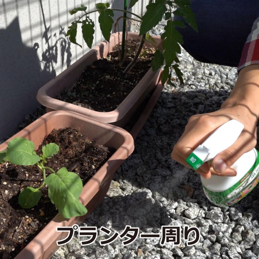 タカラダニ駆除 ムシクリン コバエ用スプレー 400mlチョウバエ ノミバエ ショウジョウバエ キノコバエ退治 Diy 自分で出来る害虫駆除 通販 Yahoo ショッピング