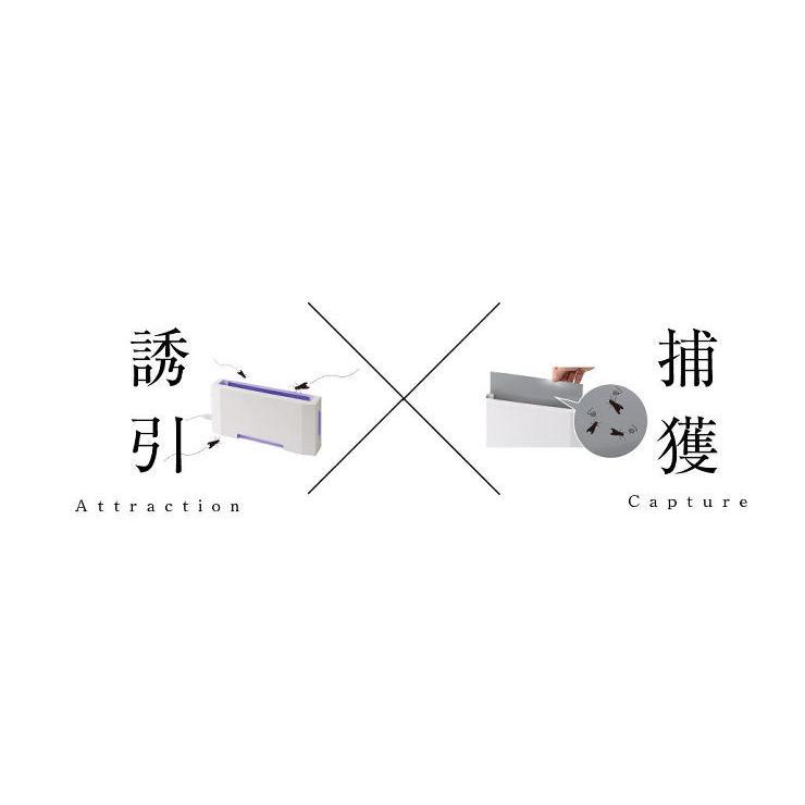 LED捕虫器 luics ルイクス C LED コンパクトタイプ LC-C01 ホワイト 光誘引捕虫器 カフェ オフィス リビング ベーカリー コバエ対策の画像