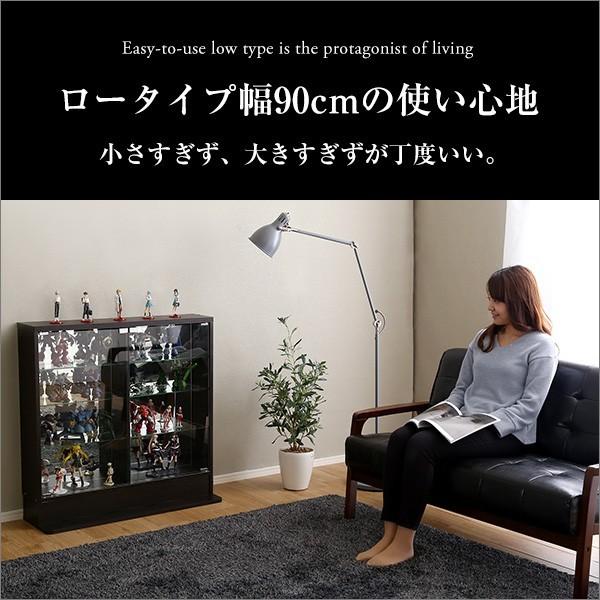ホームテイスト（HOME taste） コレクションケース 本体／ロータイプ