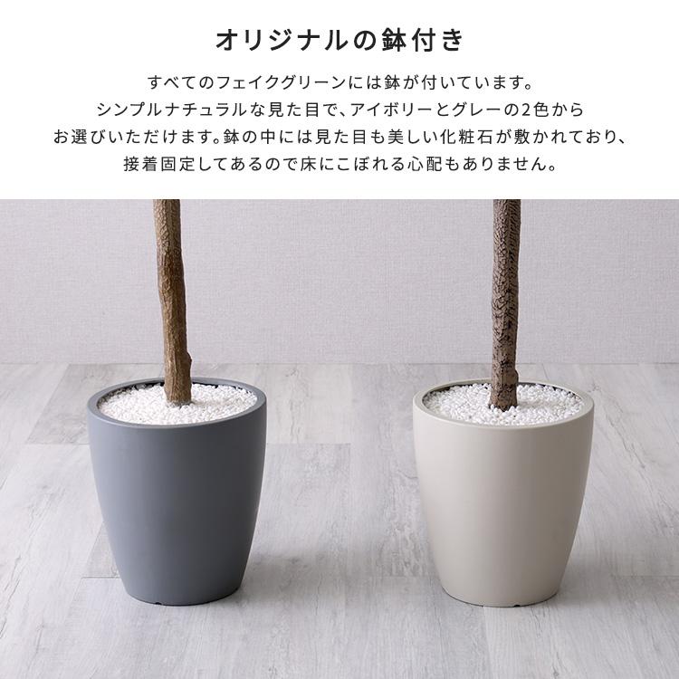 お手入れ簡単フェイクグリーン モンステラ Lサイズ(180cm) bakugai202604 爆買の画像