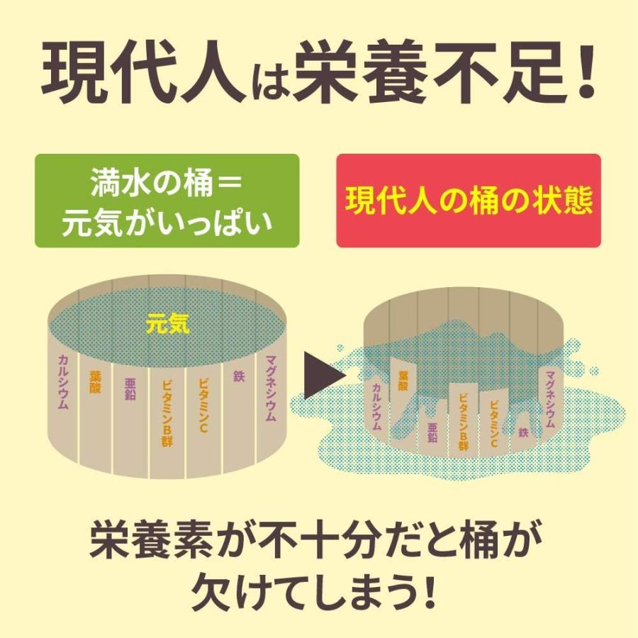 数量限定 大塚製薬 ネイチャーメイド スーパーマルチビタミン&ミネラル 120粒 120日分【配送種別：JM】｜ka9380｜03