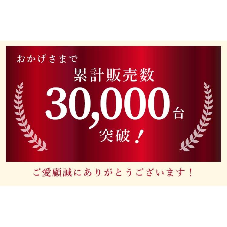 ランキング1位 送料無料 勉強机 学習机 国産 全学年対応 完成品