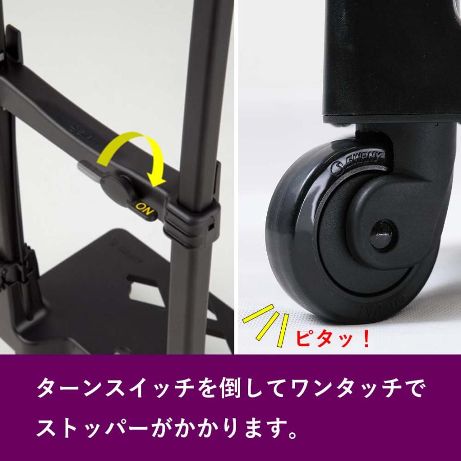 SWANY（スワニー） キャリーバッグ ルバンド TS18 Sサイズ 小さめ