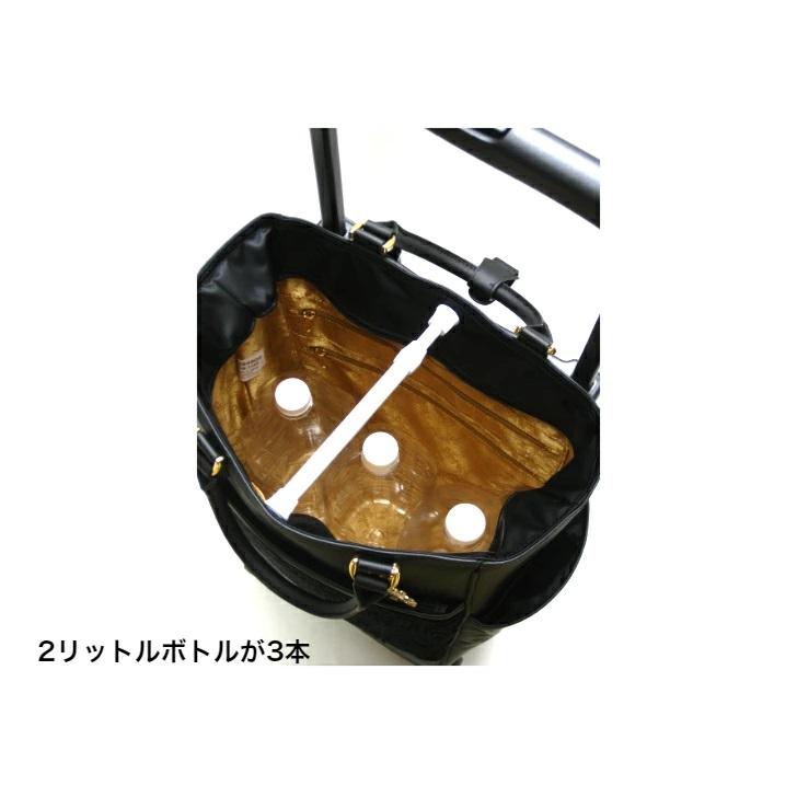 希少品　スワニー　SWANY　近沢レース　キャリーバッグSモデル　機内持ち込み○ SWANY（スワニー） スワニーキャリーバッグ 近沢レース店ノワール L
