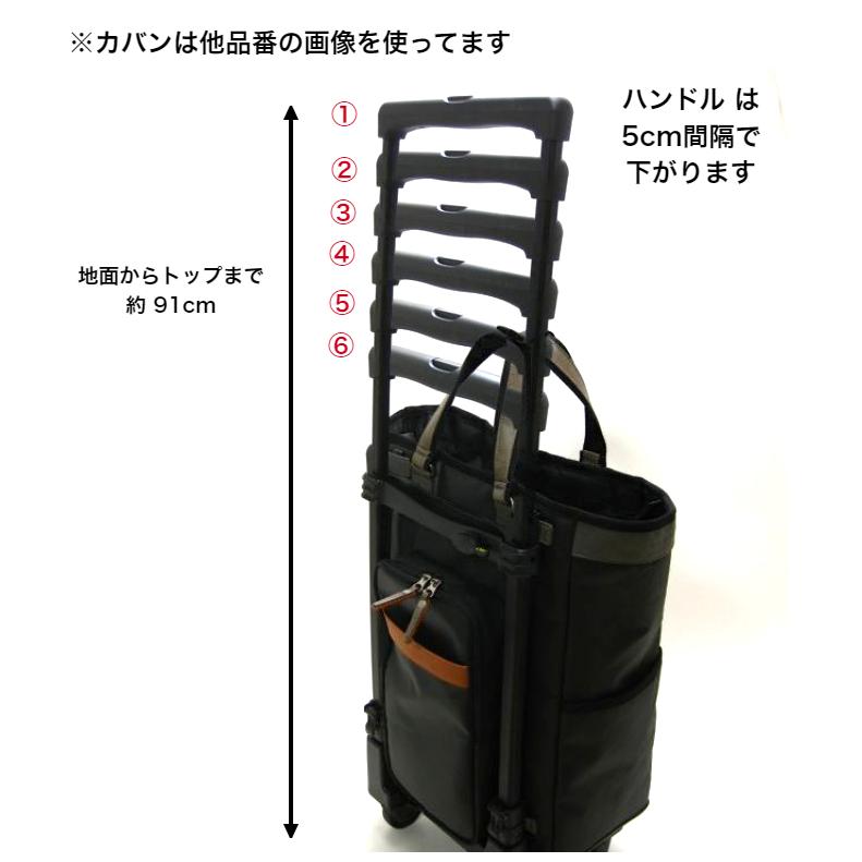 SWANY（スワニー） キャリーバッグ キャリーケース トラベル フォリロ