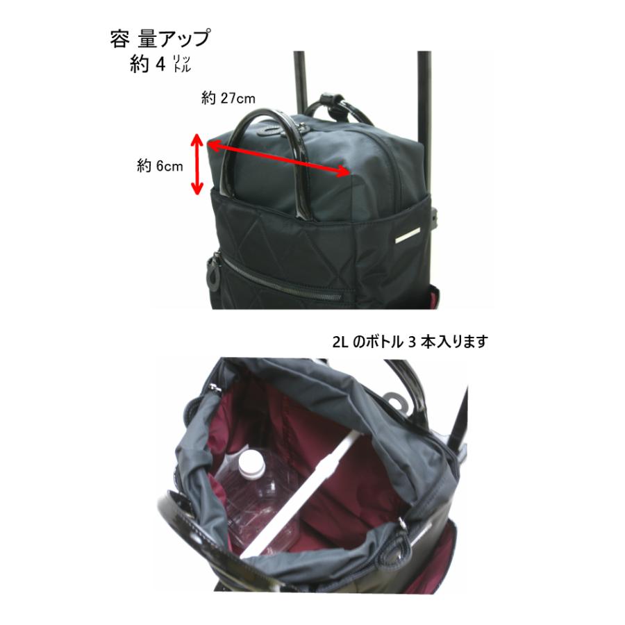 SWANY　スワニー　キャリーバッグ　Sサイズ スワニー キャリーバッグ S」の人気商品一覧 | 安い商品を通販