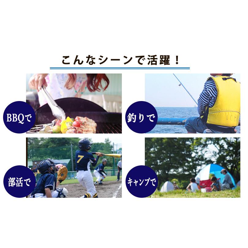 クーラーボックス 大型 46L キャスター付き 黒 ブラック 釣り 部活 キャンプ アウトドア レジャー 大容量 日本製 140-A50 | JEJアステージ | 12