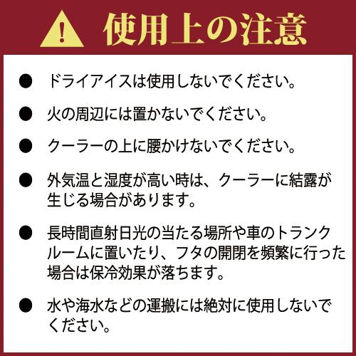 クーラーボックス 小型 7L ミニ 黒 ブラック 釣り 部活 コンパクト 軽量 軽い 一人用 おしゃれ アウトドア キャンプ 日本製 80-A27 80-A53 | JEJアステージ | 16