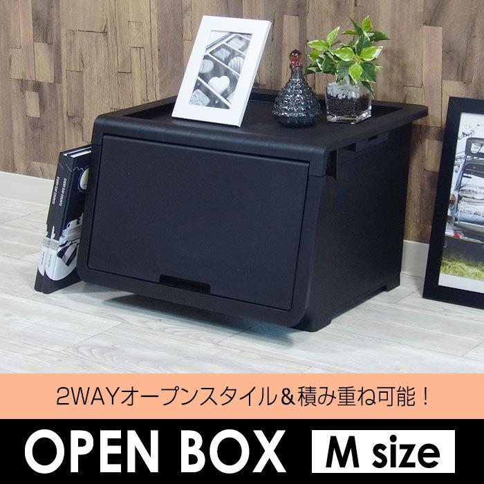JEJアステージ 収納ボックス 前開き オープンボックス 幅45cm M JEJアステージ 収納ボックス 前開き オープンボックス 幅45cm M