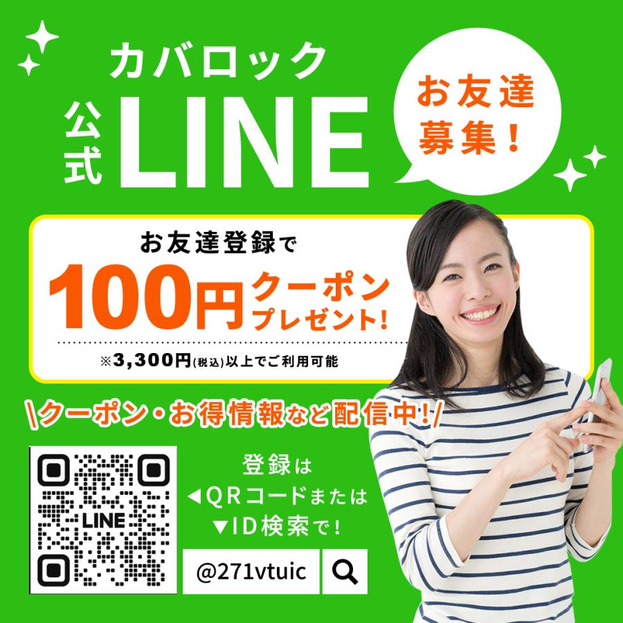 JEJアステージ (2個セット特価) 収納ボックス Lタイプ 黒 ブラック