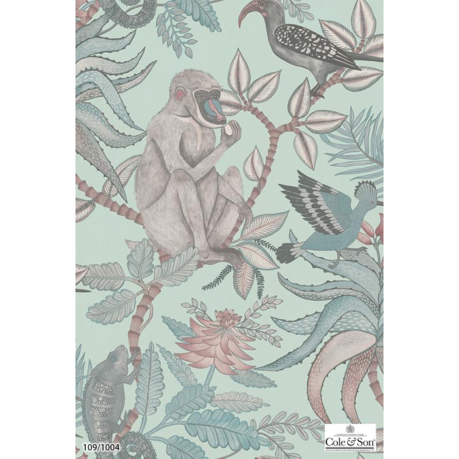 輸入壁紙 クロス テシード イギリス製 アフリカンデザイン 猿 鳥 マントヒヒ Cole & Son (52cm×10m) 109/1001 ［1ロール単位］｜kabecolle｜05