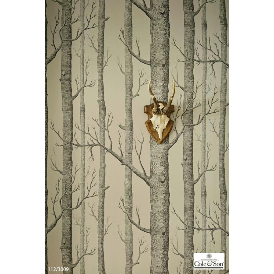 TECIDO（テシード） 輸入壁紙 クロス イギリス製 植物 木 枝 林 Cole