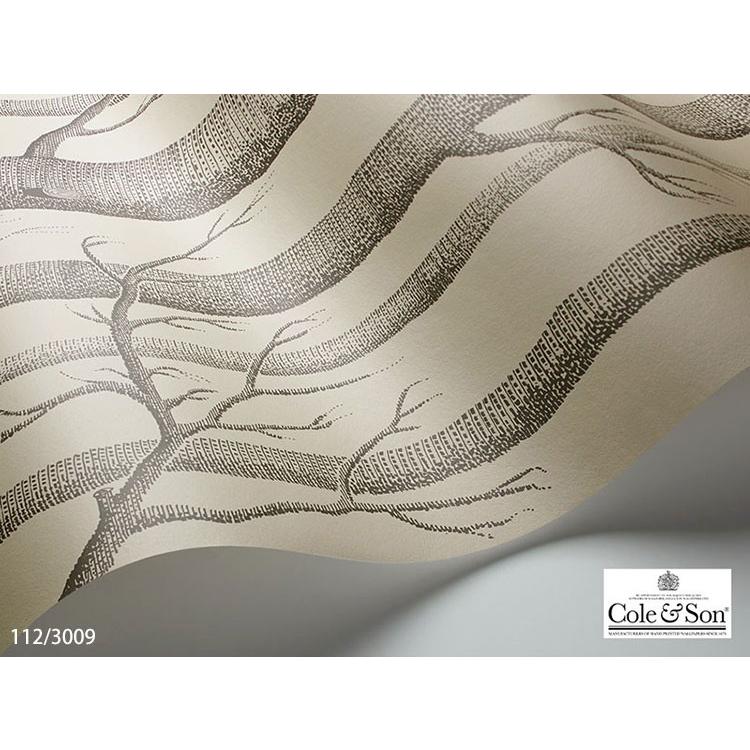 TECIDO（テシード） 輸入壁紙 クロス イギリス製 植物 木 枝 林 Cole