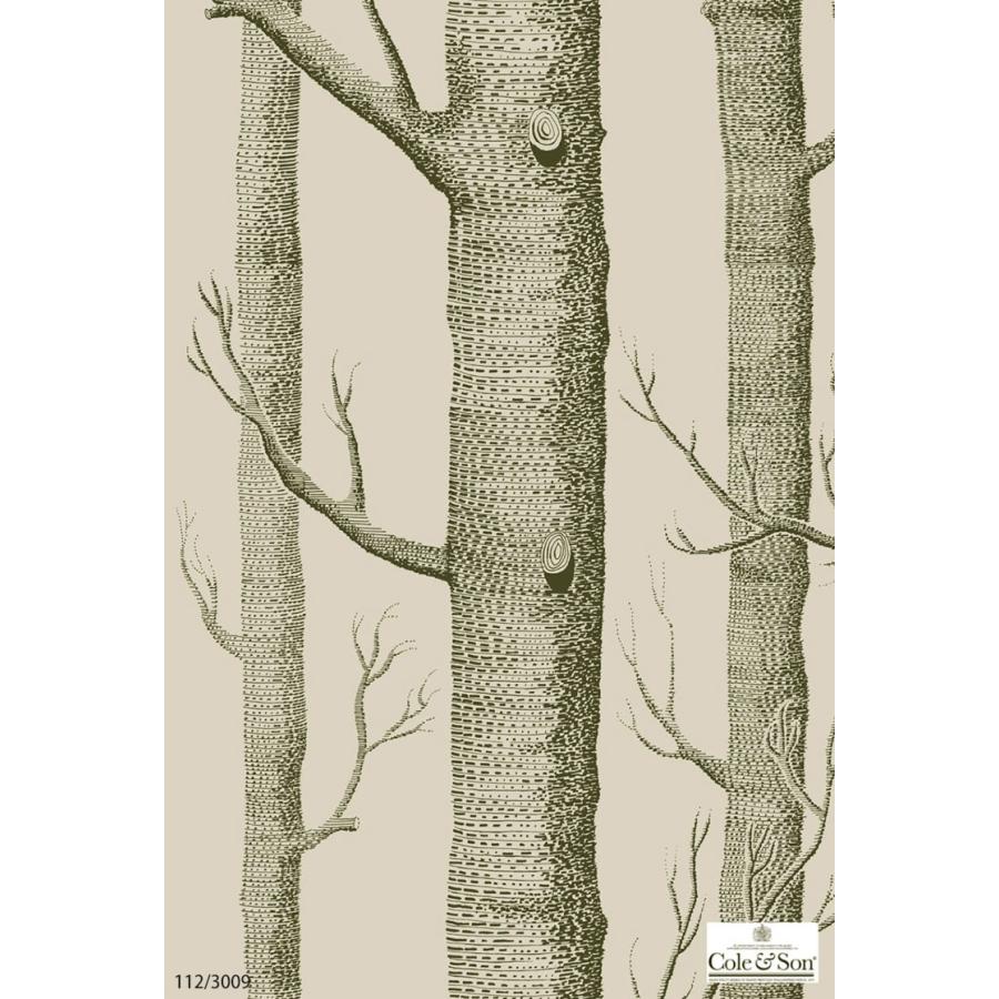 TECIDO（テシード） 輸入壁紙 クロス イギリス製 植物 木 枝 林 Cole