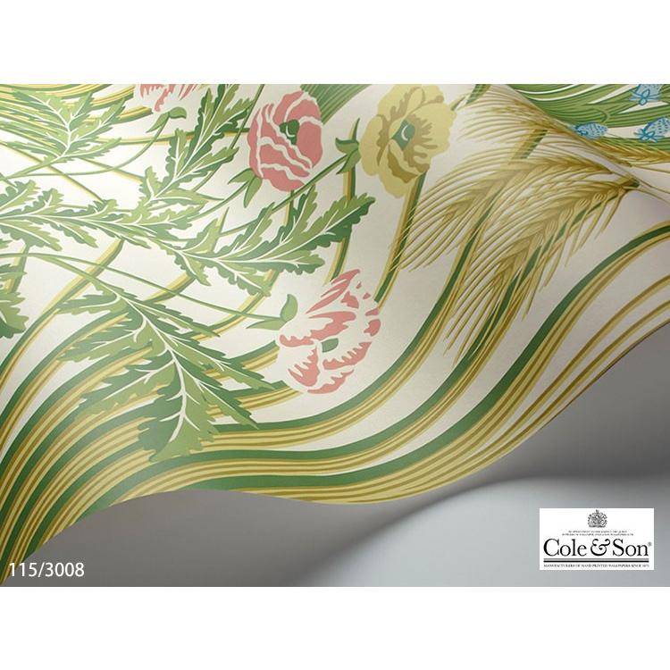TECIDO 輸入壁紙 クロス テシード イギリス製 花柄 グリーン