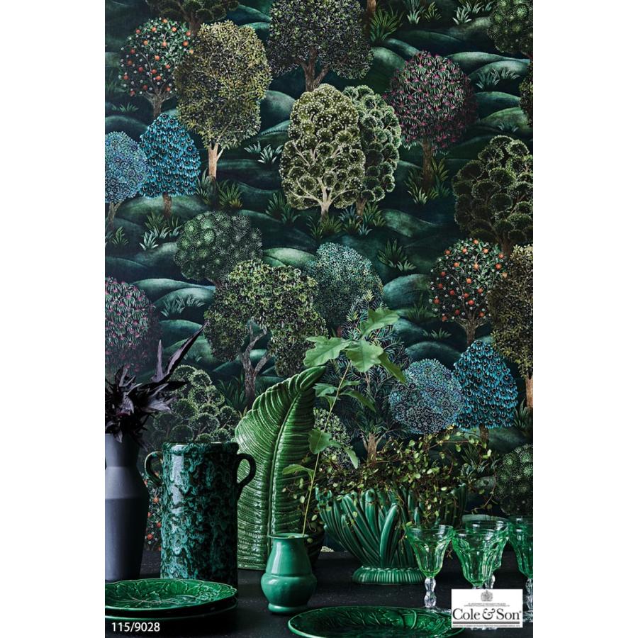 輸入壁紙 クロス テシード イギリス製 植物 森 森林 ボタニカル グリーン Cole & Son (70cm×10m) 115/9028 ［1ロール単位］｜kabecolle｜03