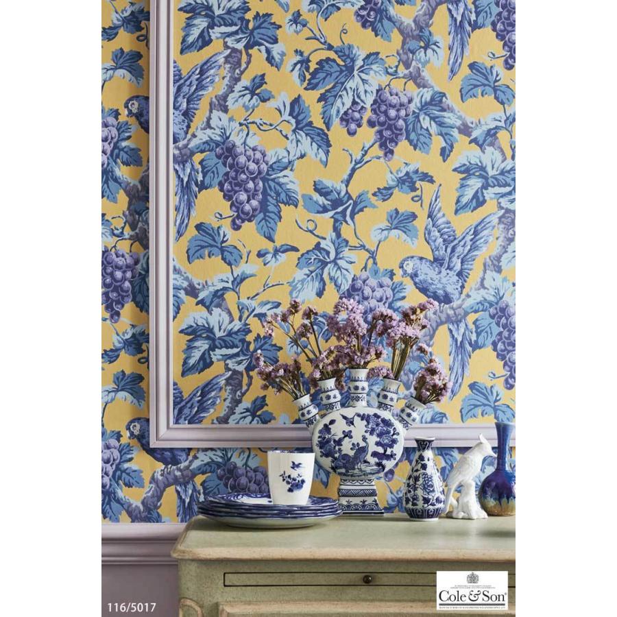 信頼 輸入壁紙 イギリス製 葡萄 鳥 エレガント ヨーロピアン Cole Son 52cm 10m ロール 116 5017 布 クロス Diy リフォーム 1ロール単位 最安値挑戦 Www Thedailyspud Com