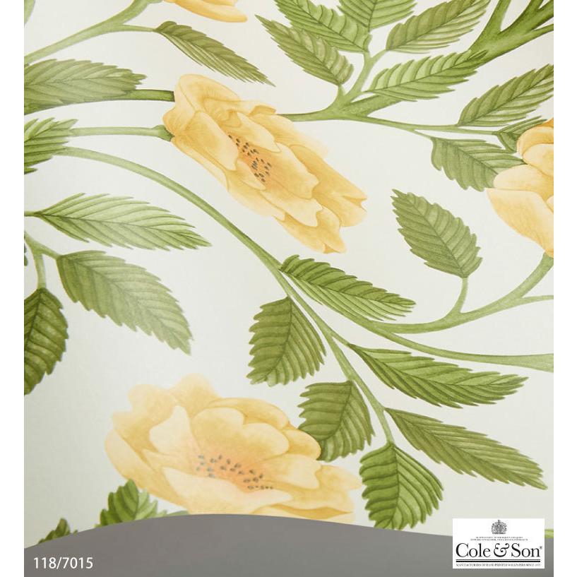 TECIDO 輸入壁紙 クロス テシード イギリス製 花柄 バラ 植物 TECIDO 輸入壁紙 クロス テシード イギリス製 花柄 バラ 植物
