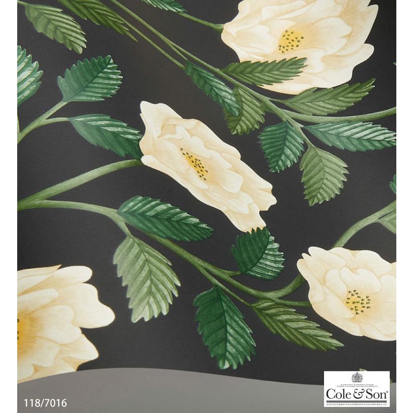 輸入壁紙 イギリス製 花柄 バラ 植物 かわいい 赤 Cole Son 52cm 10m ロール 118 7013 1ロール単位 Tecs カベコレ Yahoo 店 通販 Yahoo ショッピング