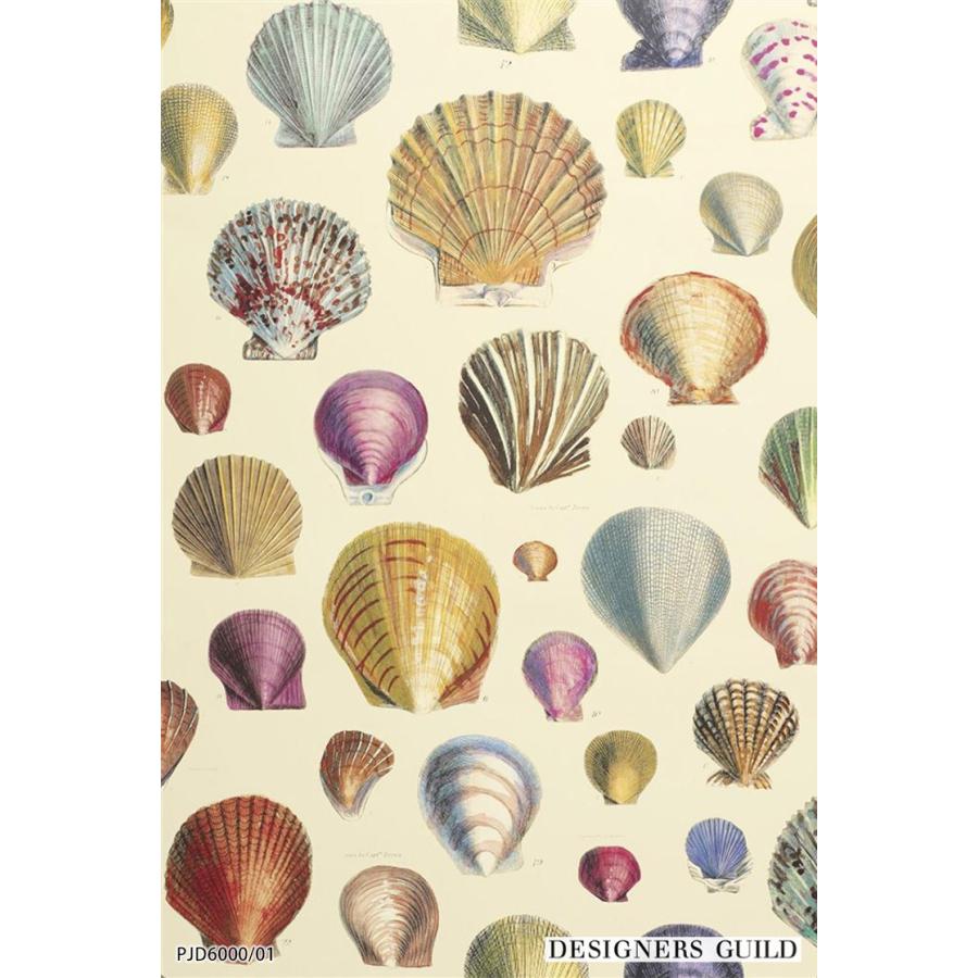 輸入壁紙 イギリス製 貝殻 ポップ Designers Guild 52cm 10m ロール Pjd6000 01 クロス Diy リフォーム 1ロール単位 Tedgpjd カベコレ Yahoo 店 通販 Yahoo ショッピング