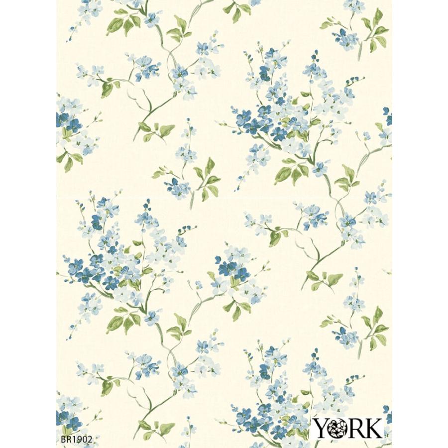 輸入壁紙 アメリカ製 花柄 光沢 植物 フラワー York 68 5cm 8 2m ロール Br1900 紙 クロス Diy リフォーム 1ロール単位 Teykbr1900 カベコレ Yahoo 店 通販 Yahoo ショッピング