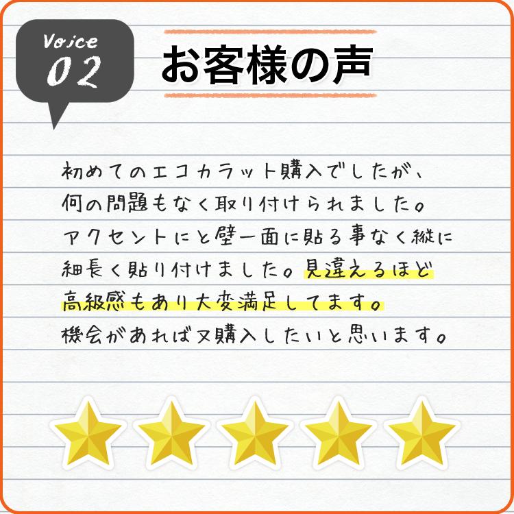 エコカラット リクシル ヴィーレ 送料無料 4平米 セット ECP-30NET WE1 WE2 WE3 WE4 玄関 DIY 消臭 湿気 結露 シックハウス - 28