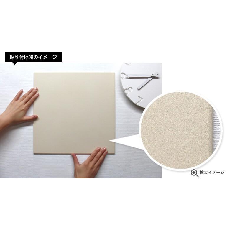 エコカラット エコカラットプラス リクシル ニュートランス バラ売り 1