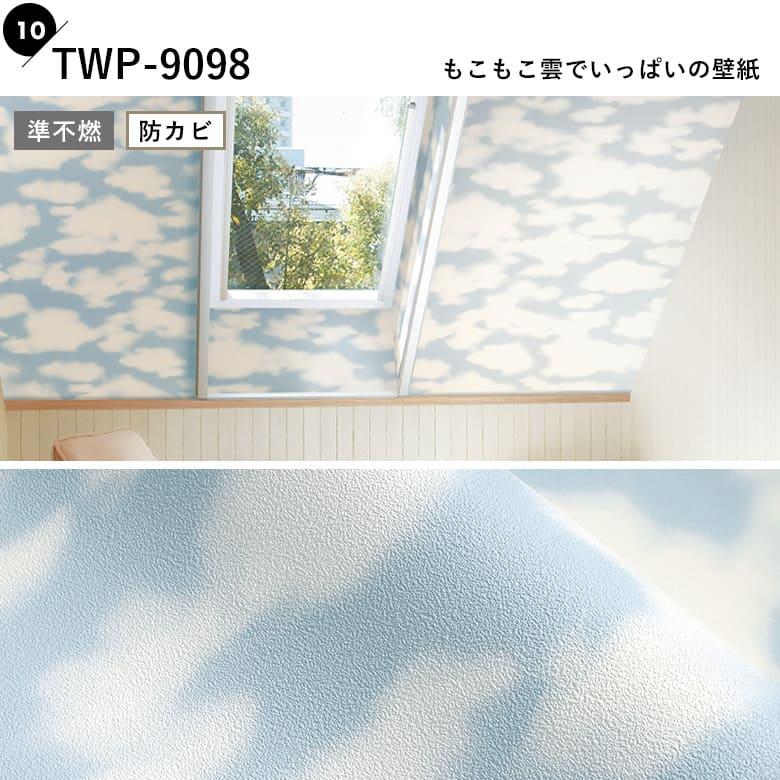 楽天市場】蓄光 壁紙クロス サンゲツ RE55954 RE55955 RE55956 浮かび