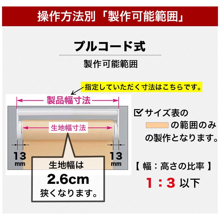 ロールスクリーン オーダー 厚手プライバシータイプ 「幅91〜135cm×高さ61〜90cm」 日本製 タチカワブラインド グループ 立川機工｜kabegami-doujou｜13