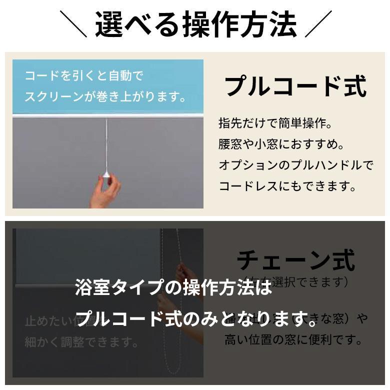 立川機工 ロールスクリーン ロールカーテン オーダー 洗える 浴室
