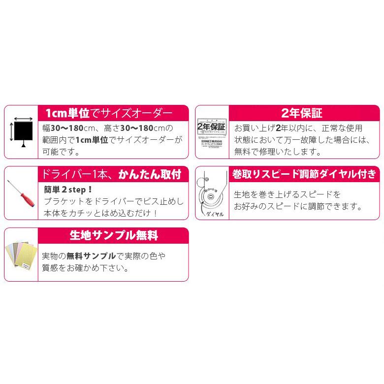 立川機工 ダブルロールスクリーン 遮光/ナチュラル/プライバシー+