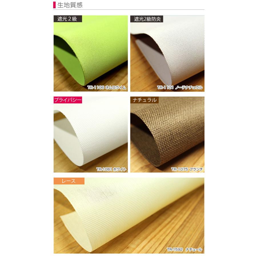 立川機工 ダブルロールスクリーン 遮光/ナチュラル/プライバシー+