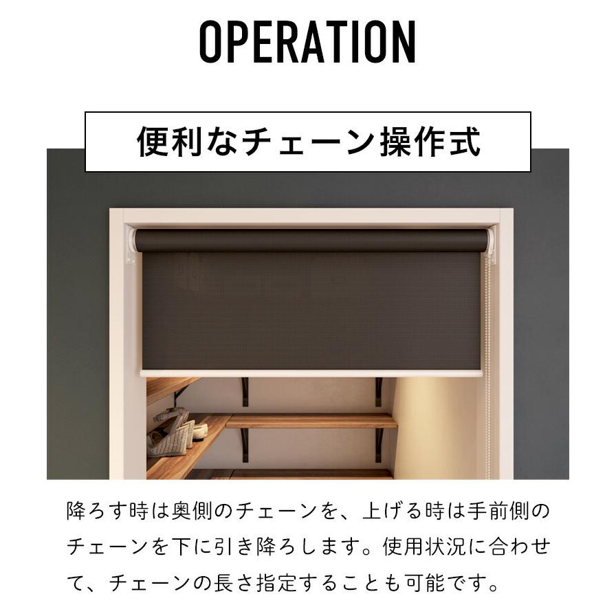 つっぱり ロールスクリーン ロールカーテン オーダー 1mm単位 標準タイプ 非遮光 採光 タチカワブラインドグループ 立川機工 日本製｜kabegami-doujou｜19