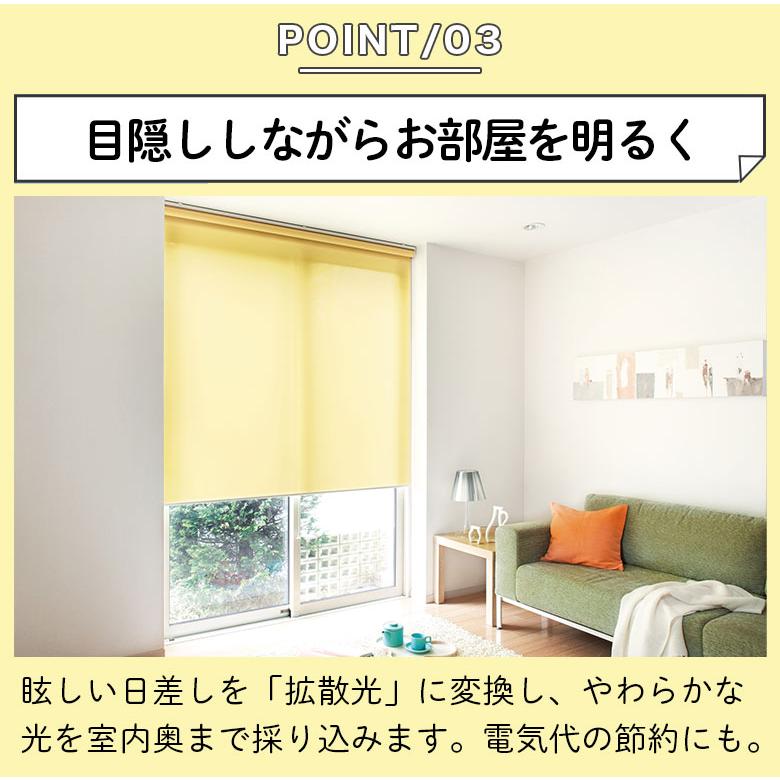 立川機工 ロールスクリーン ロールカーテン オーダーメイド 採光 非