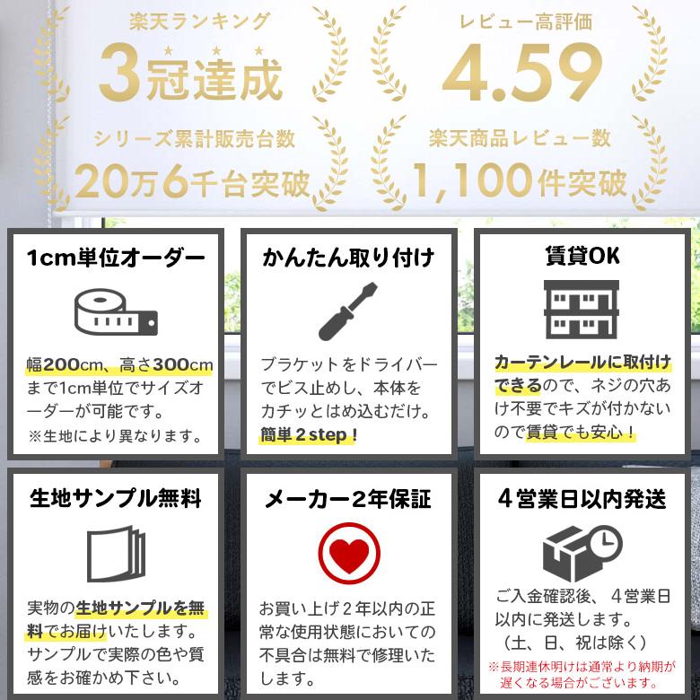 ロールスクリーン ロールカーテン オーダー 洗える レース シースルー カーテンレール取付可 賃貸OK 採光 タチカワブラインド 立川機工 日本製_4