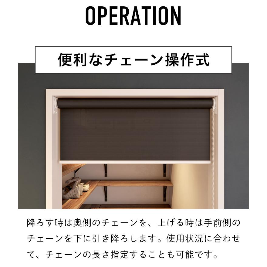 立川機工 ロールスクリーン つっぱり ロールカーテン 突っ張り式