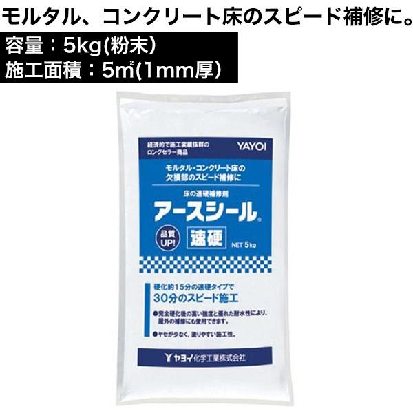 アースシール速硬 5kg 床用下地補修剤 モルタル コンクリート床の補修に Diyリフォームのお店 かべがみ道場 通販 Paypayモール