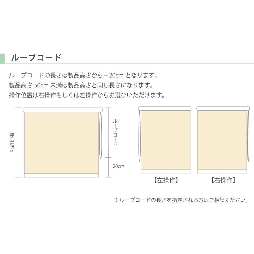 ロールスクリーン カバー付き 遮光タイプ 幅35〜200cm×高さ30〜250cm エクシヴ オーダー フルネス｜kabegamilife｜04