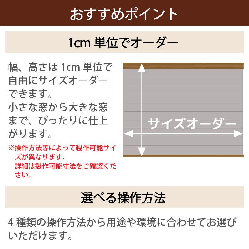 ニチベイ（Nichibei） 【最大☆10%オフクーポン】 プリーツスクリーン