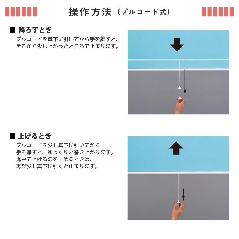 タチカワブラインド 【最大☆10%オフクーポン】 透明シート 透明ロール