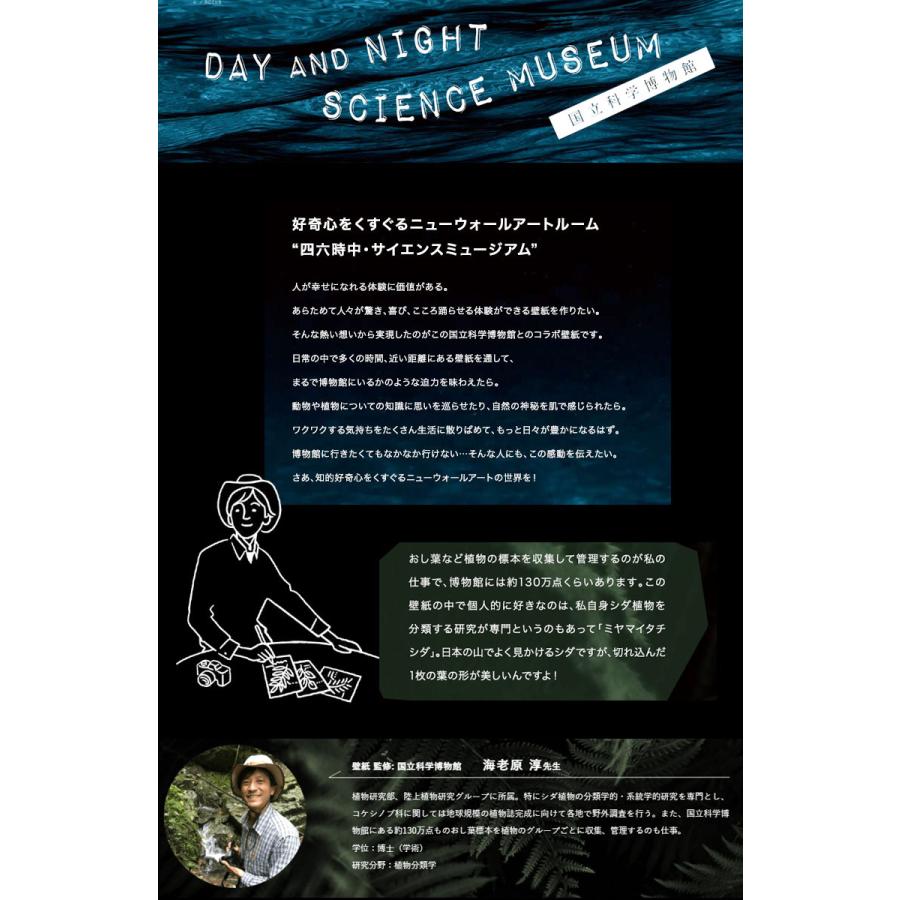 壁紙 のり付き壁紙 クロス サンゲツ Reserve リザーブ 22 24 国立科学博物館 植物 Re 3m以上1m単位での販売 のりつき壁紙 Renori 壁紙わーるどyahoo 店 通販 Yahoo ショッピング