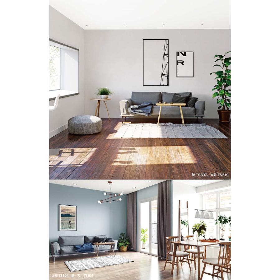 トキワ 【＊送料無料(わEX便)】のり付き壁紙 TS2021-2024 TS 501〜TS