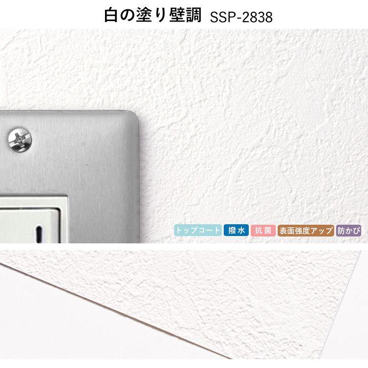 壁紙屋本舗 生のり付き壁紙 A4サイズ サンプル 補修 おためし 壁紙屋本舗 生のり付き壁紙 A4サイズ サンプル 補修 おためし