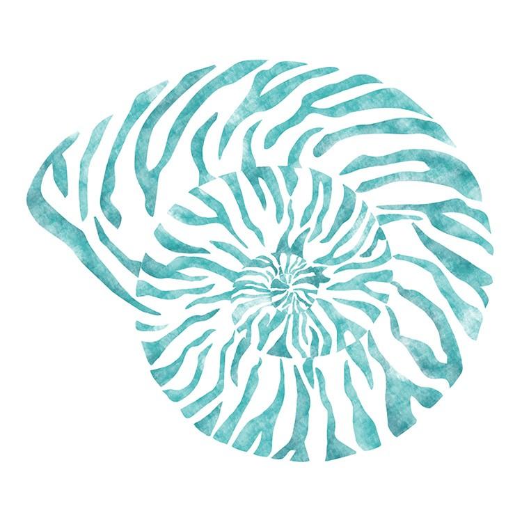 壁に貼ってはがせる ステッカー ウォールステッカー WALL POPS (ウォールポップス) Nautilus Shell Wall Art Kit DWPK2176 |  | 02