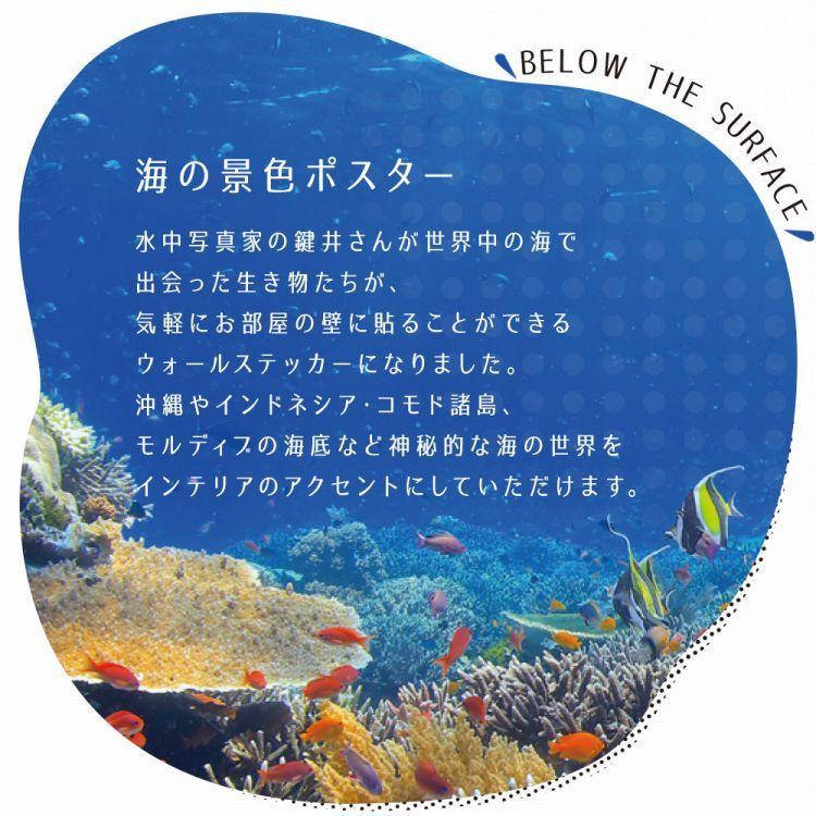 ポスター ウォールステッカー 海 はがせる ウォールシール 海 魚 熱帯魚 LLサイズ 鍵井 靖章 海の生き物 知育 子供部屋 浴室 トイレ 装飾 |  | 09