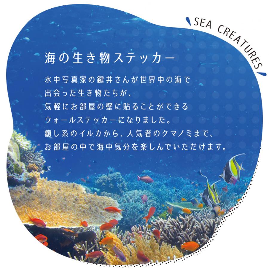 ウォールステッカー 海 はがせる ウォールシール イルカ サメ マンタ MLサイズ 鍵井 靖章 海の生き物 知育 子供部屋 浴室 トイレ 装飾 |  | 15