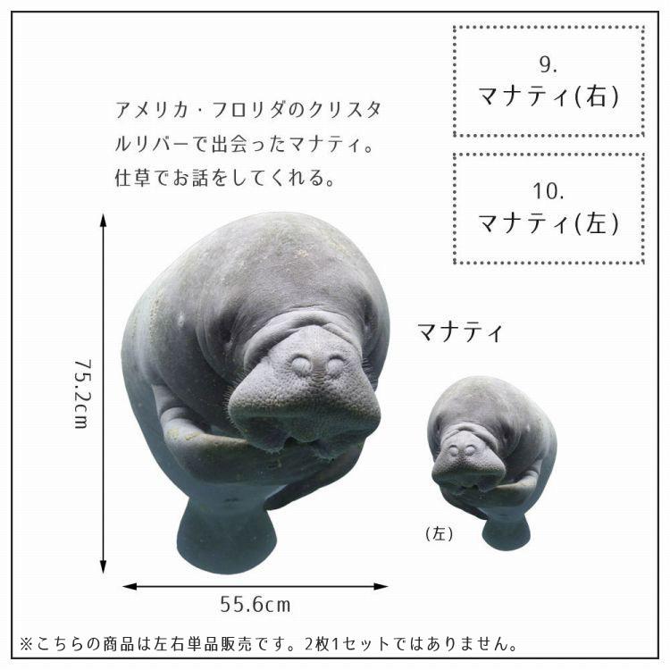 ウォールステッカー 海 はがせる ウォールシール イルカ サメ マンタ MLサイズ 鍵井 靖章 海の生き物 知育 子供部屋 浴室 トイレ 装飾 |  | 24