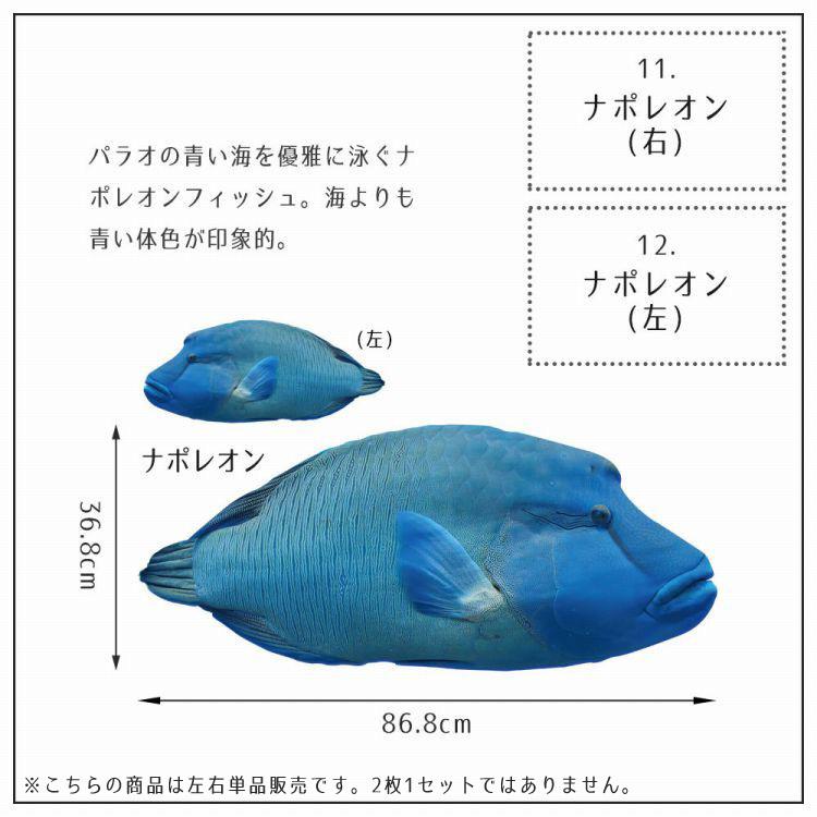 ウォールステッカー 海 はがせる ウォールシール イルカ サメ マンタ MLサイズ 鍵井 靖章 海の生き物 知育 子供部屋 浴室 トイレ 装飾 |  | 25