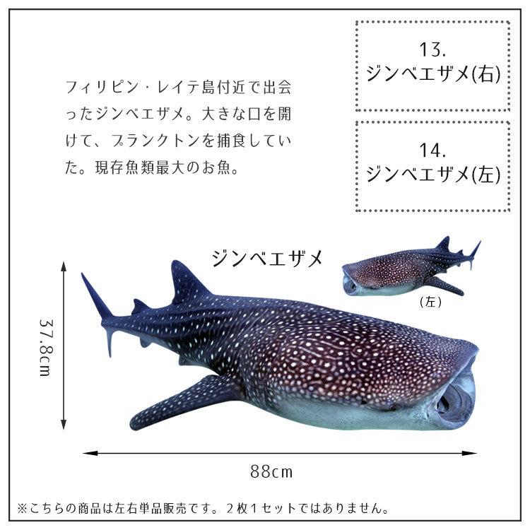 ウォールステッカー 海 はがせる ウォールシール イルカ サメ マンタ MLサイズ 鍵井 靖章 海の生き物 知育 子供部屋 浴室 トイレ 装飾 |  | 26
